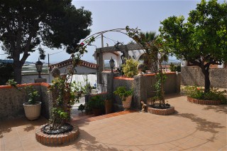Das terrasssierte Grundstck ist mit tropischen Bschen bepflanzt